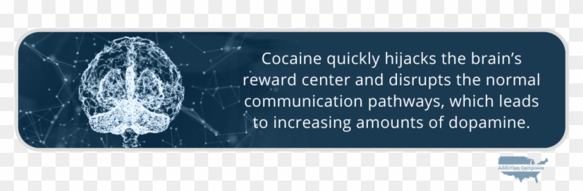 Com The Dangers Of Using Cocaine Intravenously Cocaine - Addiction Campuses Clipart