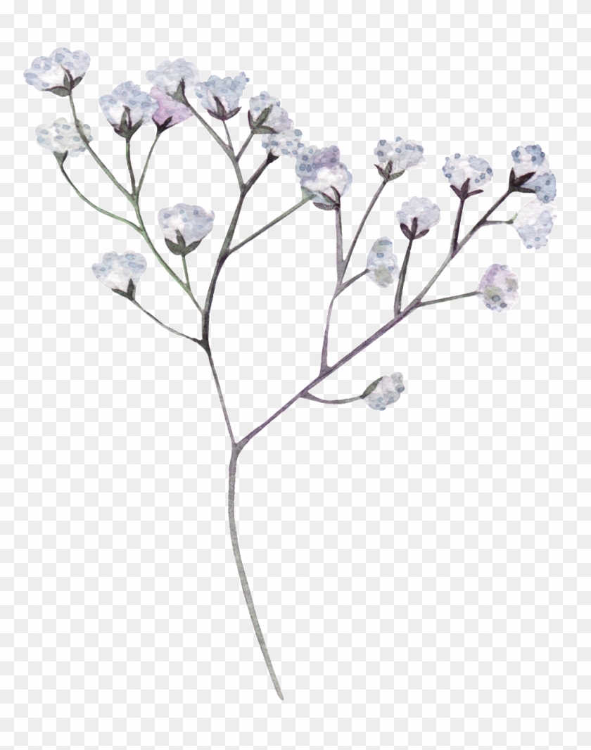 White Flower Png Transparent Dried Flowers Png Clipart 311544