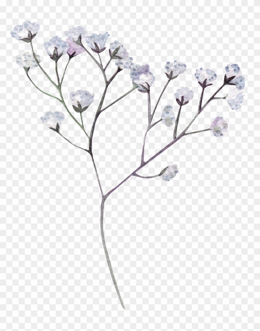 White Flower Png - Transparent Dried Flowers Png Clipart