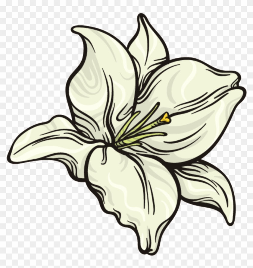 This Graphics Is Snow White Flower Png Transparent - Lily Clipart #311810