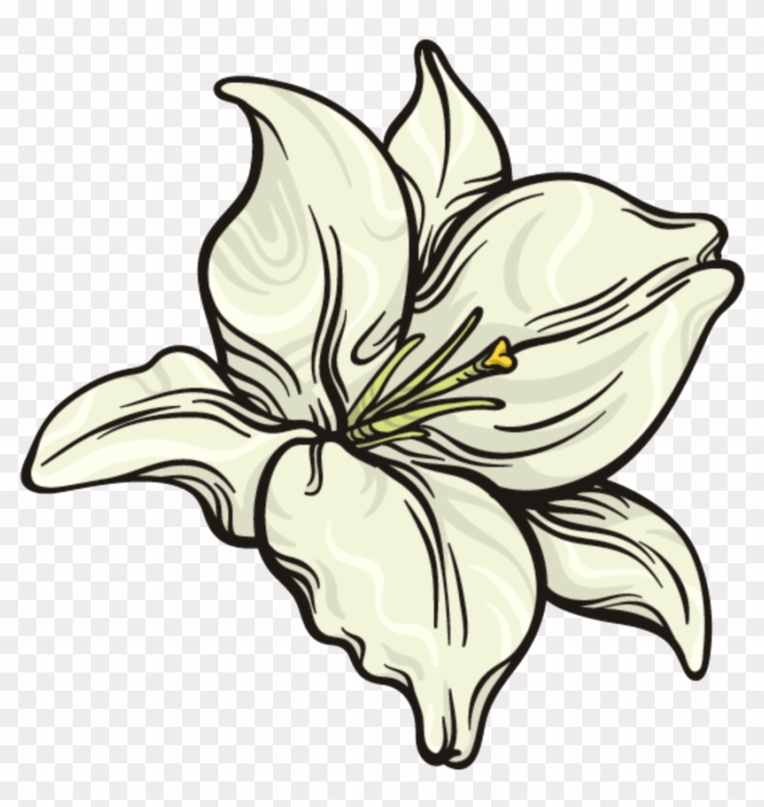 This Graphics Is Snow White Flower Png Transparent - Lily Clipart