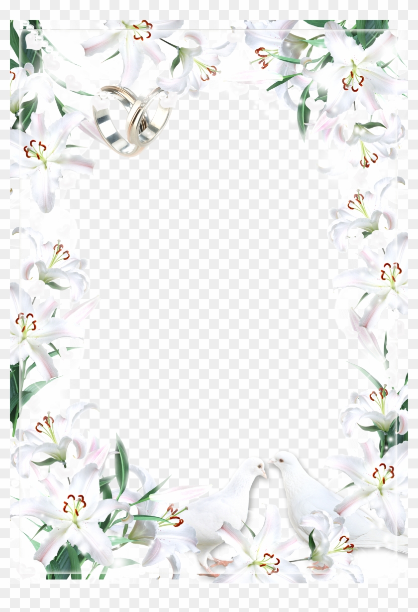 Jasmine Clipart #312904