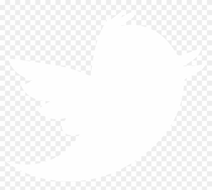 Twitter Png White - White Twitter Logo No Background Clipart #313145