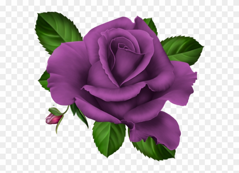 Roses Pink Roze Rosa Kwiaty Png Flowers Png Rose Vector - Purple Rose Png Clipart #315232