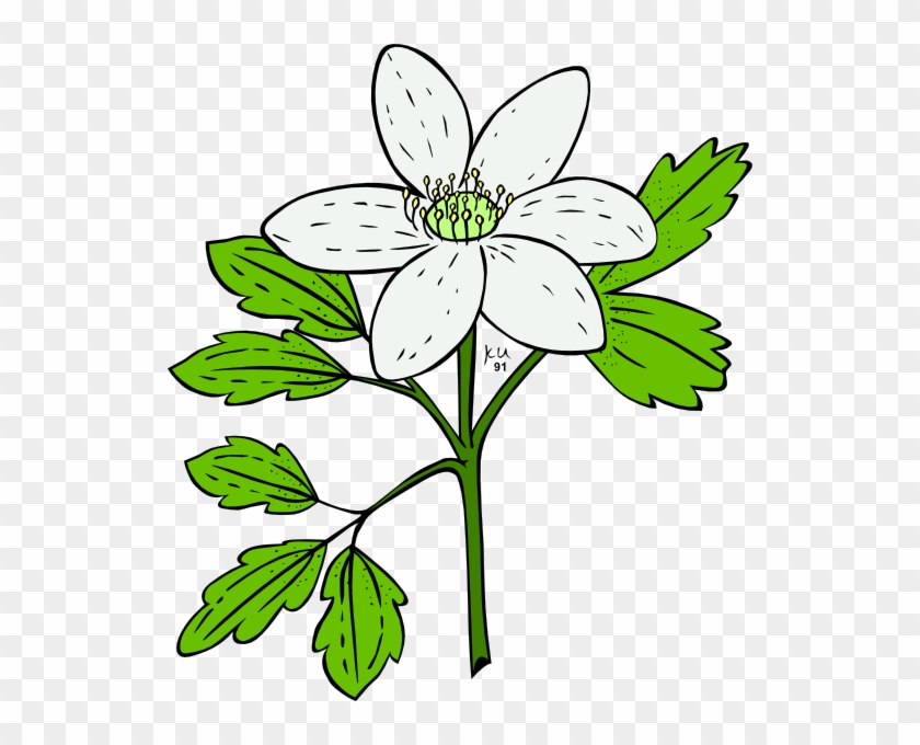 Flowers Vector - Flowering Plant Clip Art - Png Download #315256