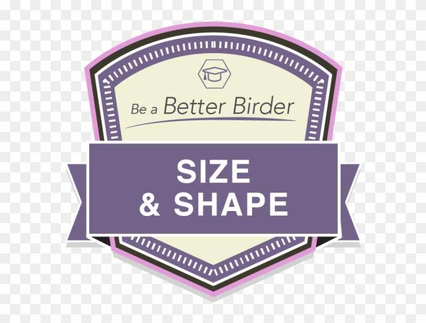 Bbb Size And Shape Badge - Label Clipart