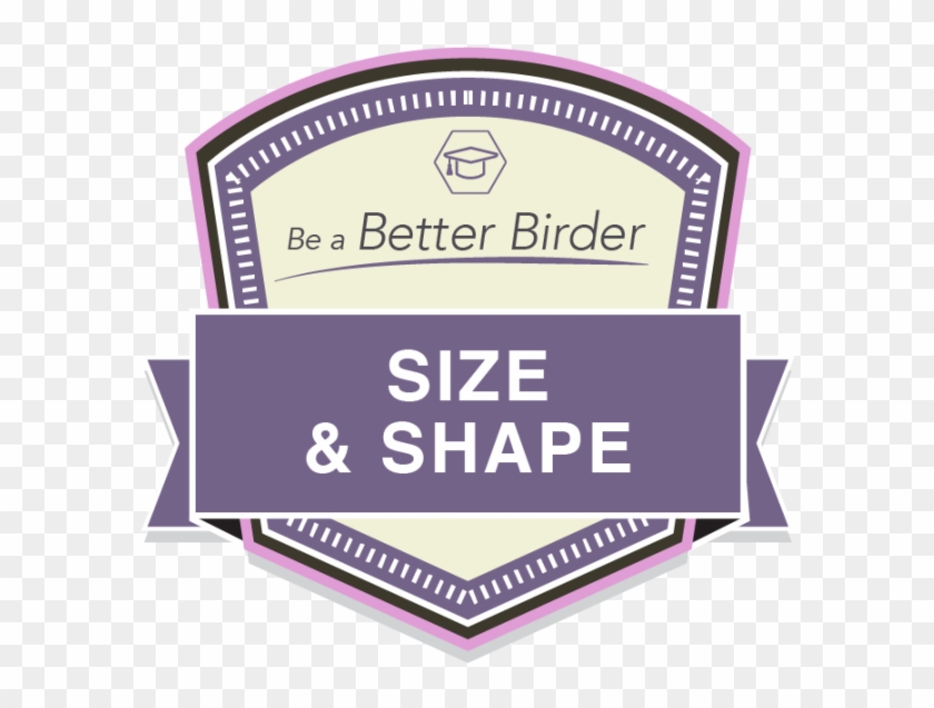Bbb Size And Shape Badge - Label Clipart #315600