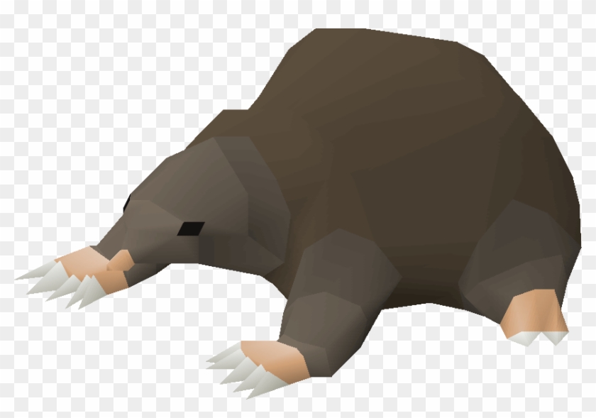 2007scape - Grizzly Bear Clipart