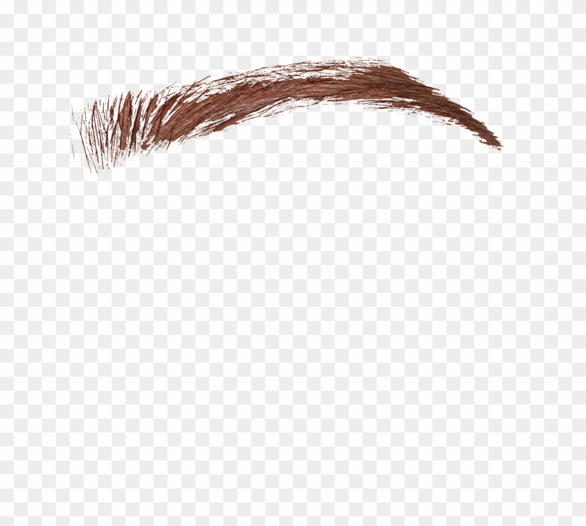 Бровь Png Clipart