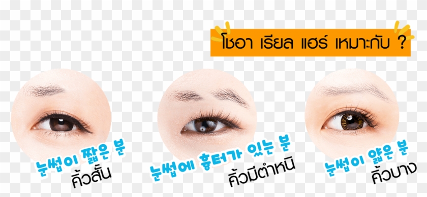 21 พฤศจิกายน - Eyelash Extensions Clipart