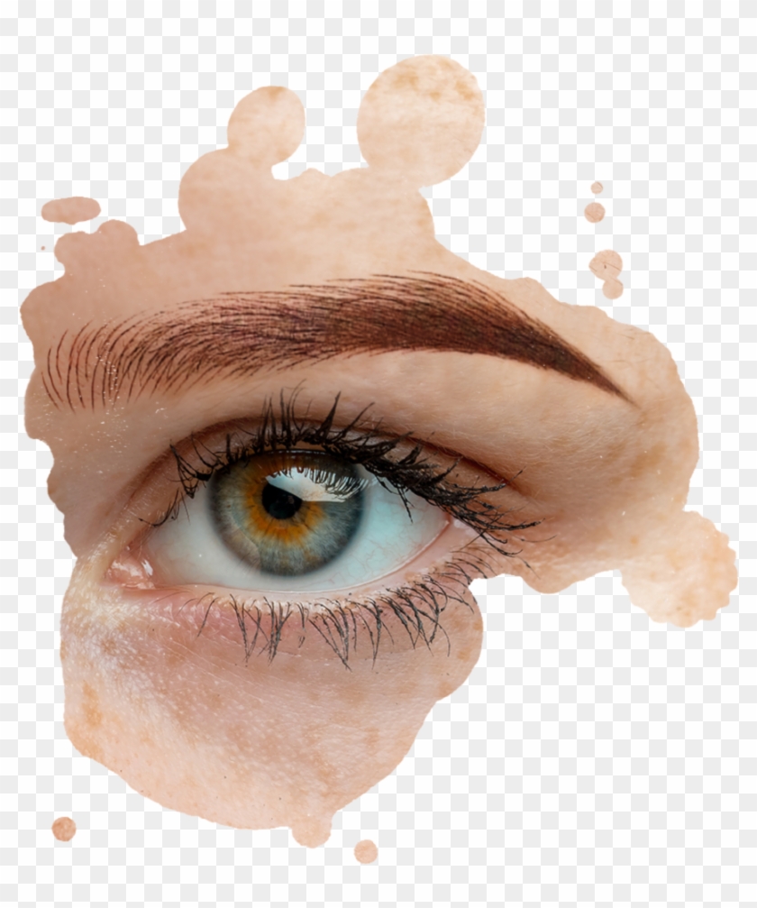 Combo Eyebrow - Eye Liner Clipart