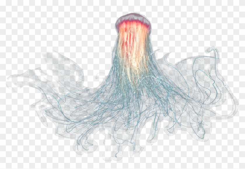 Large Jellyfish - Jellyfish Png Clipart