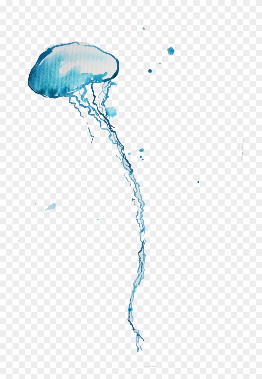 Blue Bottle Jellyfish Png Background - Real Jellyfish Transparent Background Clipart