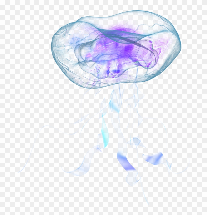 Jellyfish Png Vectors - Jellyfish Transparent Clipart