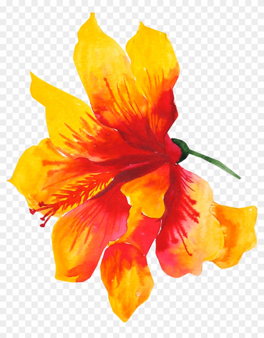 Flower Yellow Watercolor Painting Drawing - Yellow Flower Watercolor Png Clipart