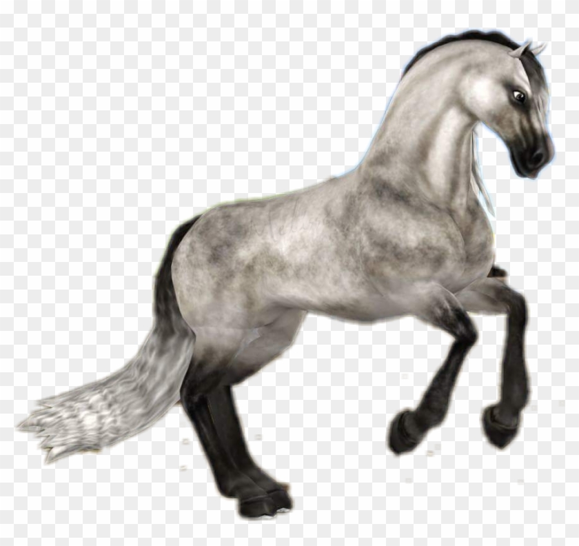 #starstableonline #starstable #sso #horse #andalusian - Sso Andalusian Clipart #3102099