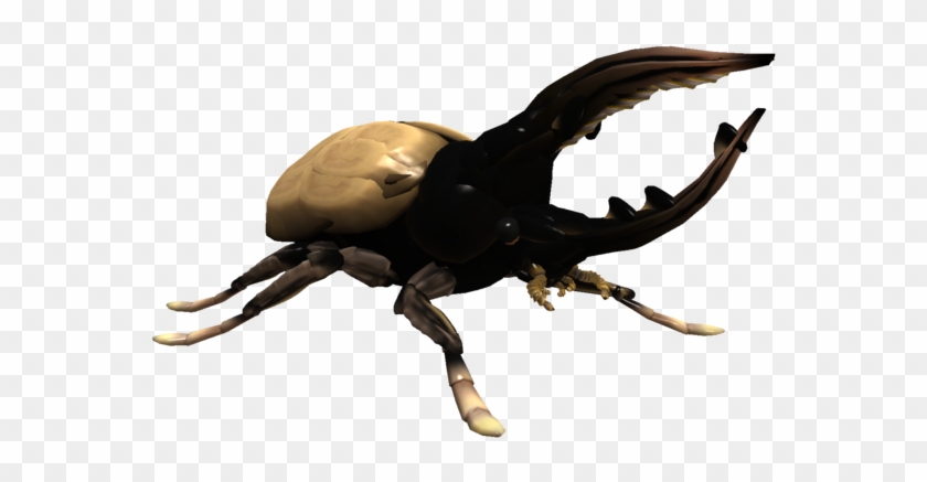 Beetle Transparent Hercules - Hercules Beetle Transparent Clipart #3104430