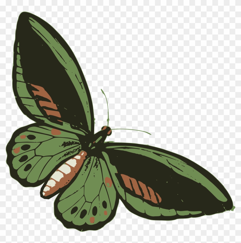 This Free Icons Png Design Of Green Butterfly - Butterfly Clipart