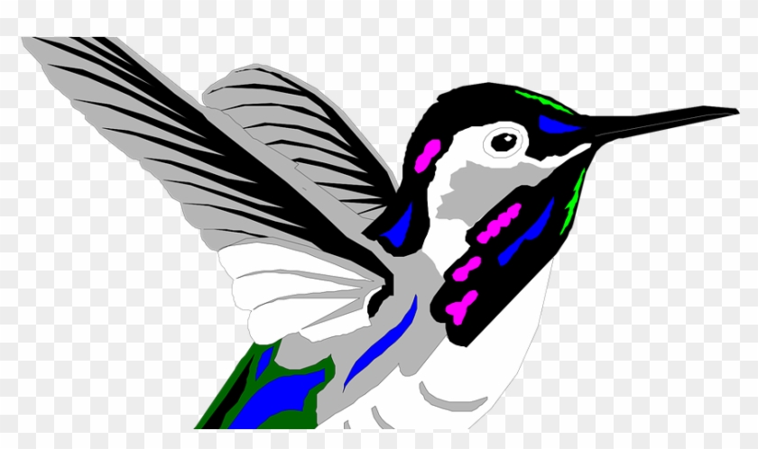 Bird Colibri Animated Clipart #3105041