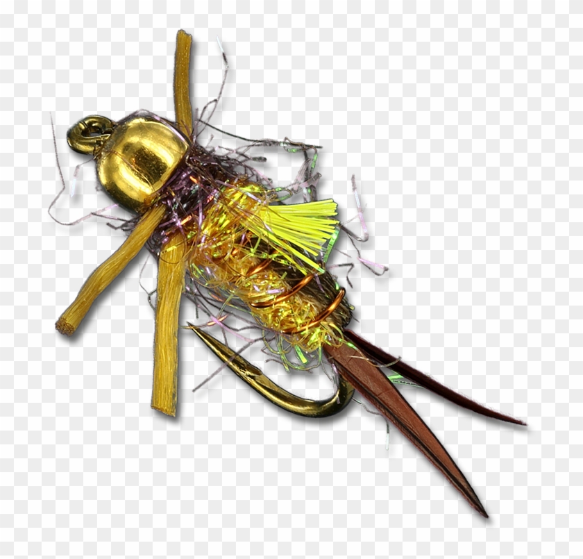 Mercer's Rl Tb Psycho Prince - Dragonflies And Damseflies Clipart