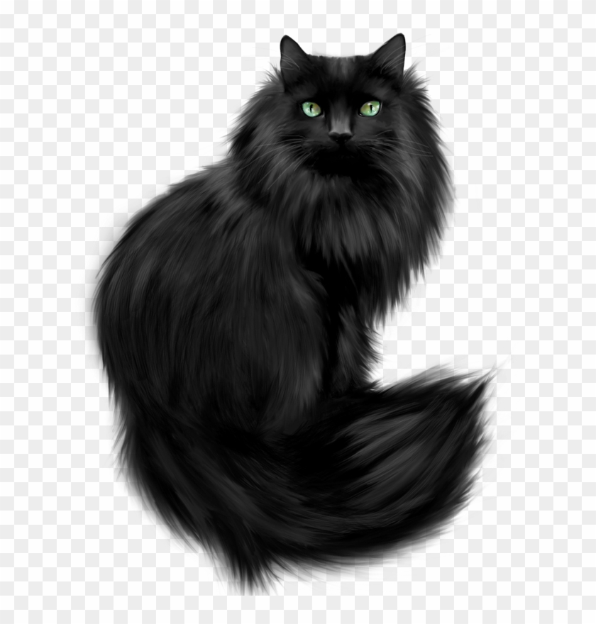 Crazy Catt Black Cat Art, Black Cats, Black Kitty, - Black Fluffy Cat Clip Art - Png Download
