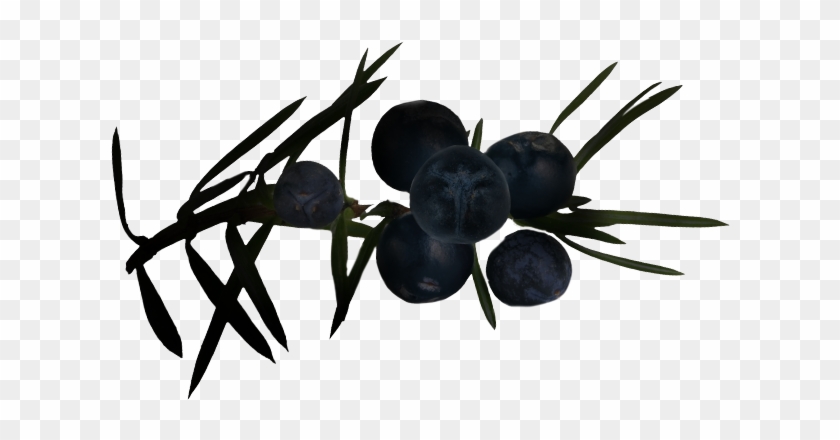 I Amber Oriental - Black Widow Clipart