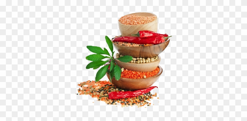 About Us - Fast Food Clipart