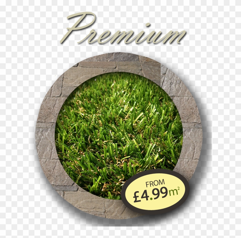 Premium Artificial Grass - Lawn Clipart #3109178