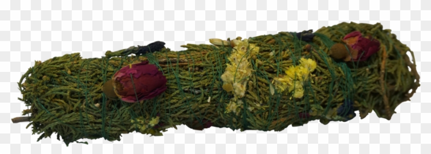 Garden Roses Clipart #3109426