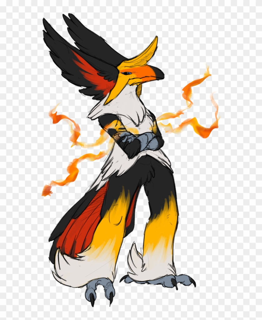 Toucan Mega Toucan = Hornbill Blaziken - Illustration Clipart