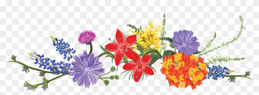 Texas Vodka Greenlight Agency Dallas Tx - Wildflower Clipart