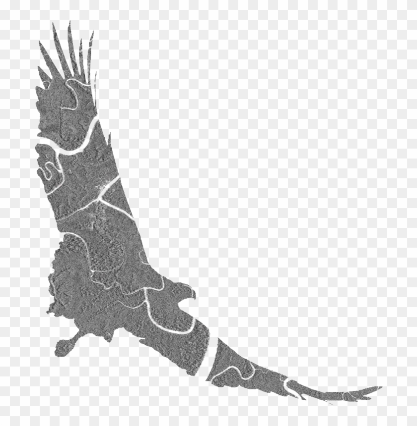 Information - Illustration Clipart #3112592