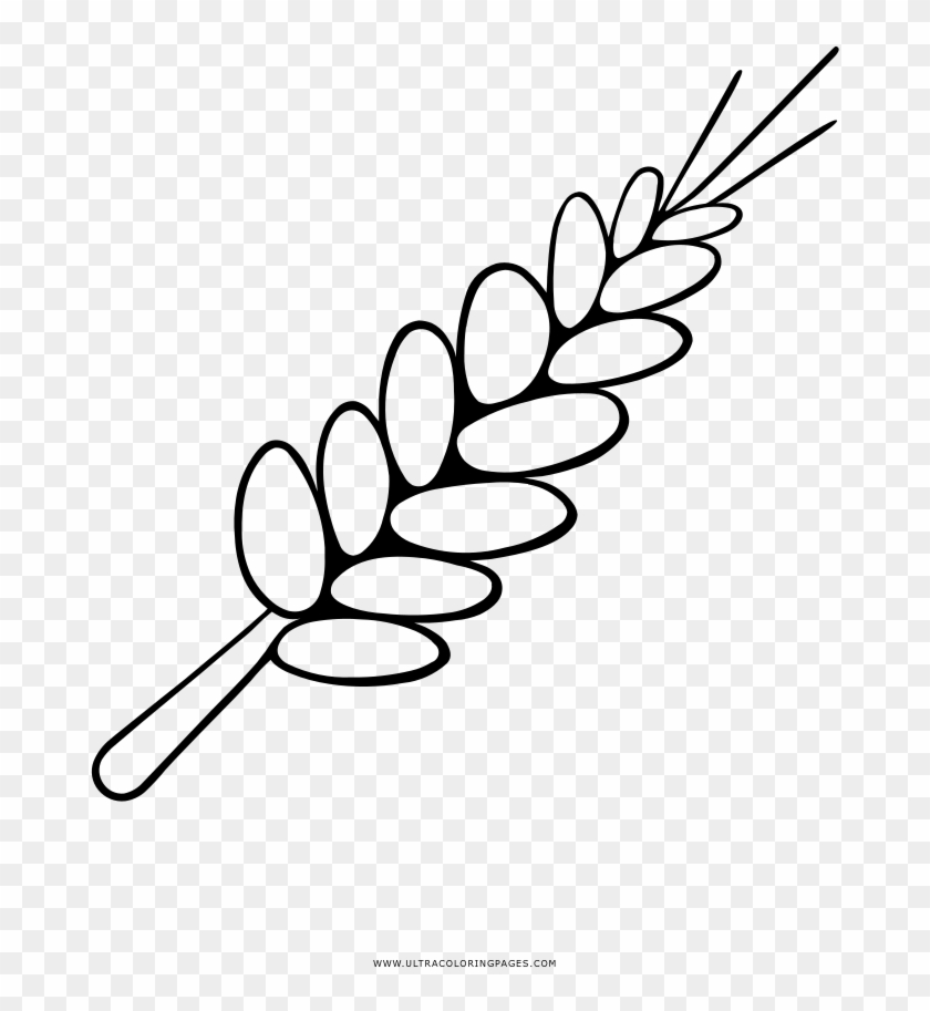 Trigo Página Para Colorear - Espiga De Trigo Para Colorear Clipart