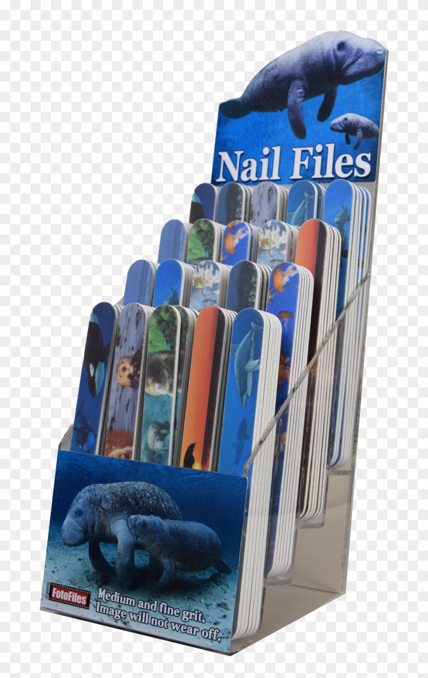 African Elephant Clipart