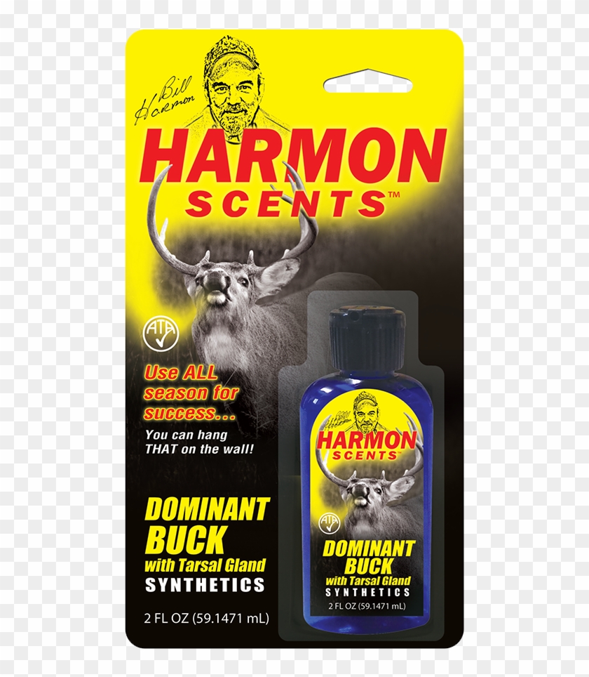 Animal Clipart #3115509