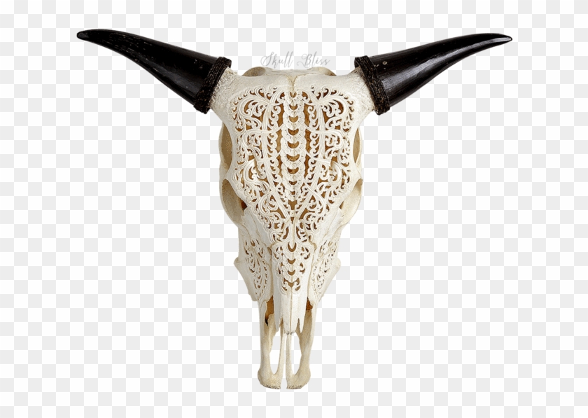 Bull Clipart #3117733