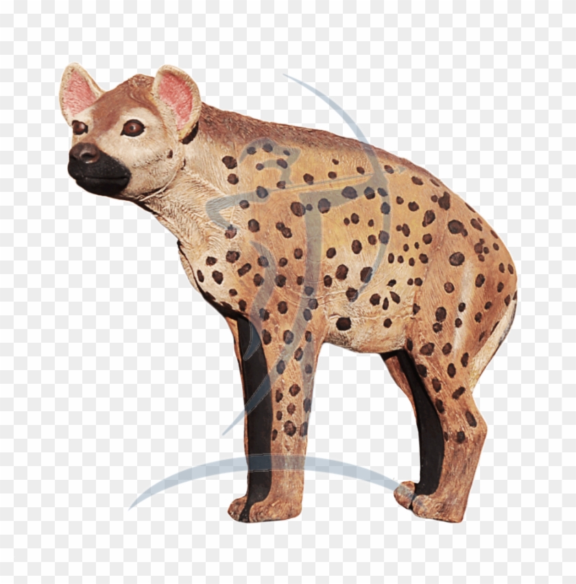 Asen/wildcrete 3d Hyena Large - Spotted Hyena Clipart