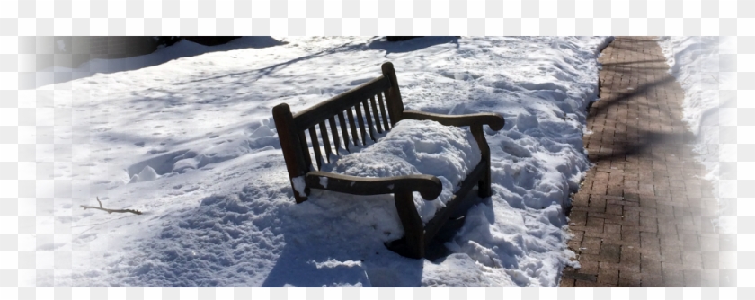 Oak Leaves Blog - Snow Clipart