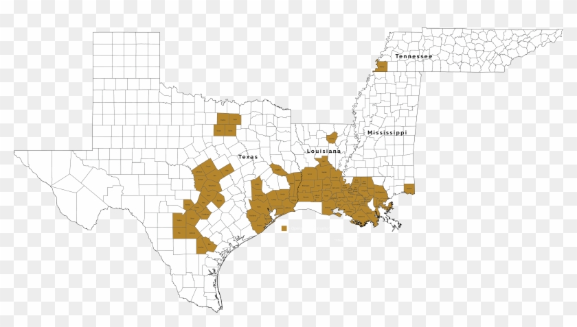 “never In My Wildest Dreams Did I Ever Think Our Operations - Map Of Texas Counties Clipart #3119920