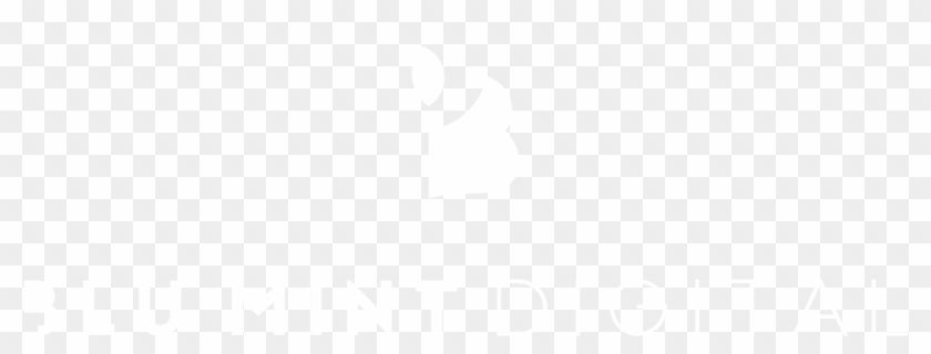 Leinster Rugby Logo White Clipart