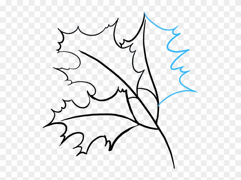 Holly Drawing Leaves - Line Art Clipart #3122370