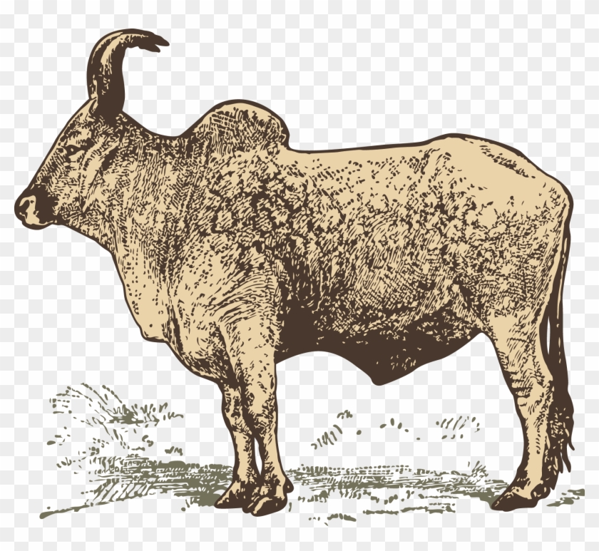 Buffalo Vector Milk - رسم جاموس Clipart #3123842