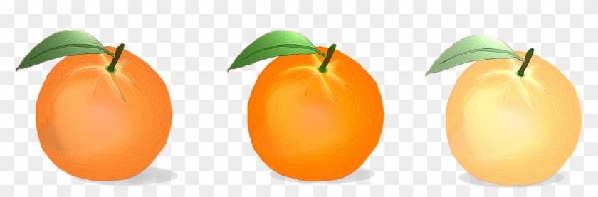 Orange Vector Citrus Fruits - Valencia Orange Clipart