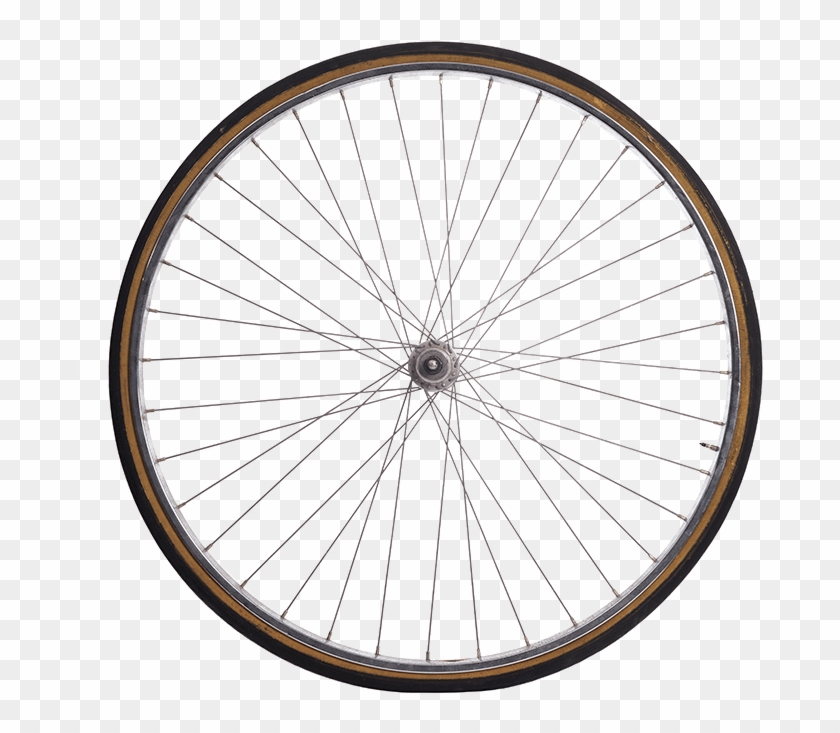 Take A Daily Constitutional - Bicycle Tire Clipart #3124598