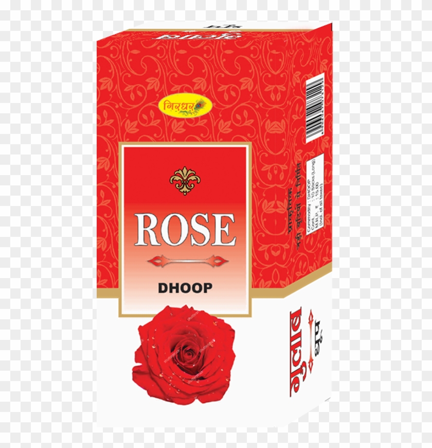 Girdhar Dhoop Gulab - Hybrid Tea Rose Clipart #3124683