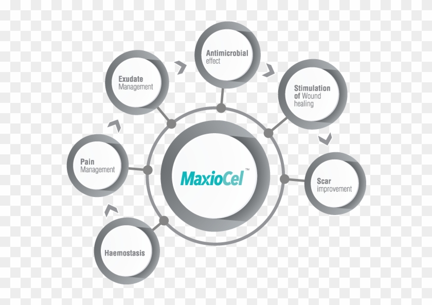 Indications - Circle Clipart