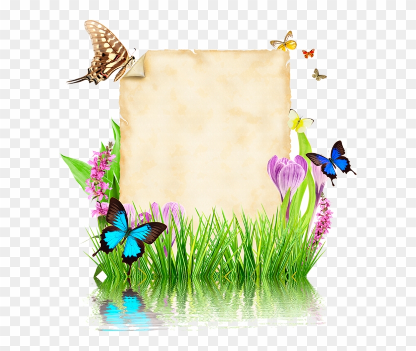 Parchemins Writing Paper, Vector Design, Photoshop Clipart #3126034