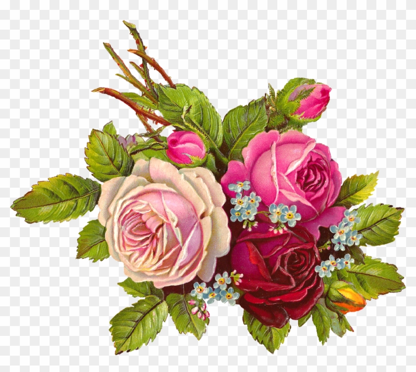 Bouquet Vector Vintage Rose - Pink Roses Vintage Png Clipart #3126431