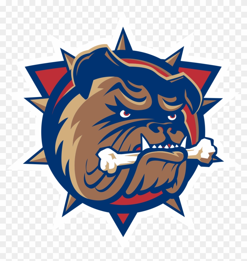 Hamilton Vector Head - Hamilton Bulldogs Logo Clipart #3126986