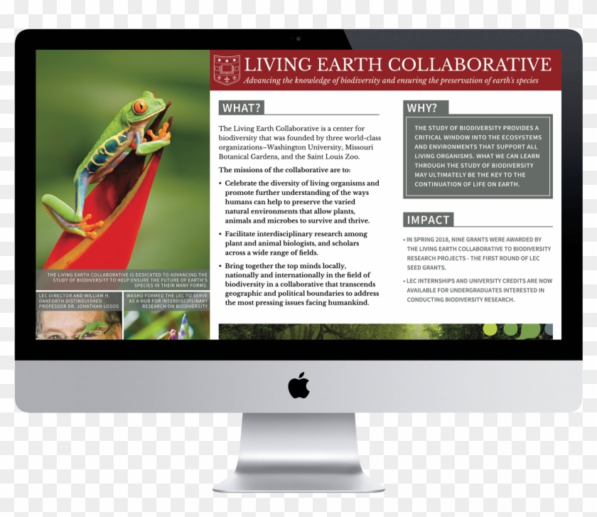 Greensfelder Forum Clipart